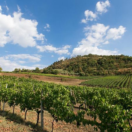 Villa Rosmarino Greve in Chianti Esterno foto