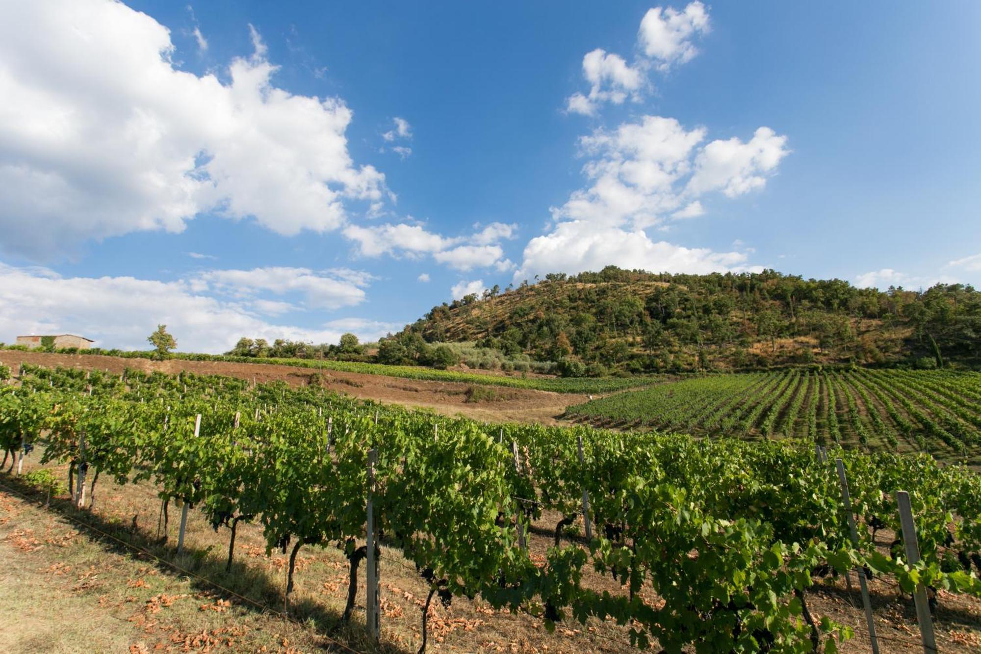 Villa Rosmarino Greve in Chianti Esterno foto